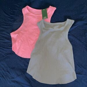 Two Wild Fable Crop top